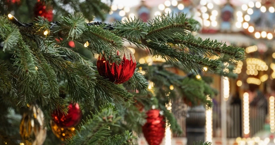 Seasonal Festivals in Oceanside, California: When to Go & What to Expect